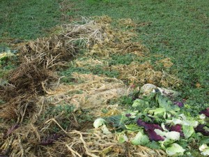 Sheet compost